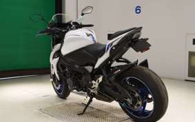 SUZUKI GSX-S1000 2019 GT79B