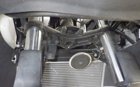 KAWASAKI NINJA 250 EX250L