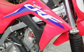 HONDA CRF125F 2024 JE03