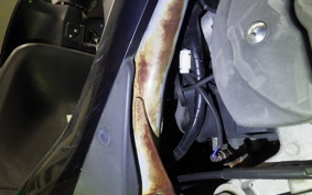 SUZUKI ADDRESS V50 2022 CA4BA