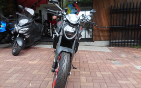 DUCATI  DUCATI 937 MONSTAR + 2023 4M00