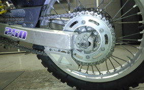 SUZUKI DR250 R-S SJ45A