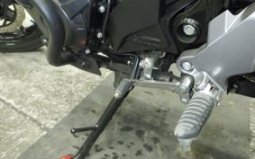 SUZUKI Vｽﾄﾛｰﾑ250