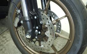 HARLEY FXLRST1920 2025