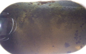 KAWASAKI NINJA 250 SL 2016 BX250A