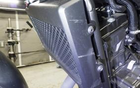 HONDA REBEL 250 S 2008 MC49