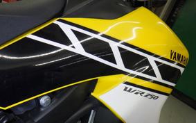 YAMAHA WR250X 2019 DG15J