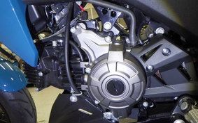 KAWASAKI Z125 PRO 2024 BR125H