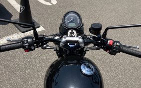 TRIUMPH SPEED TWIN 900 2023 DAD74G