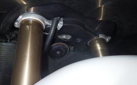 SUZUKI HAYABUSA Gen.2 2010