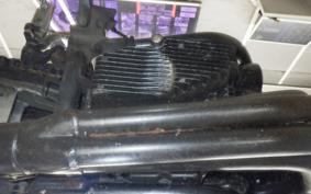 KAWASAKI BALIUS 250 Gen.2 2021 ZR250B