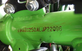 KAWASAKI NINJA 250 SL