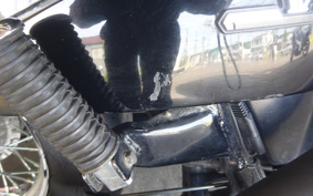 HONDA STEED400VLX 2022 6115