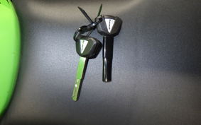 KAWASAKI ZX-4RR 2023 ZX400P