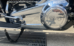 HARLEY FLFBS 2021 YGK