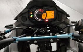 KAWASAKI  VERSYS X250 LE250D