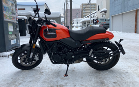 HARLEY X500 2024 W5B