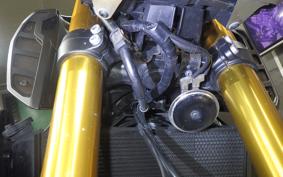 YAMAHA MT-09 ASP 2019 RN52J