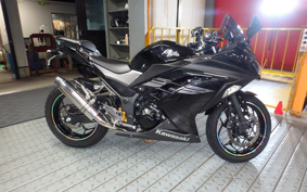 KAWASAKI NINJA 250 EX250L