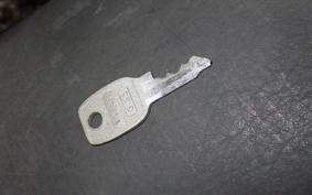 HONDA ELSINORE 250 2022 MT250