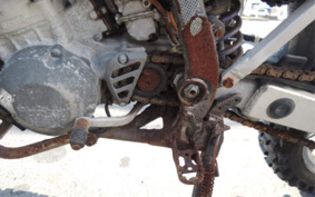 SUZUKI RMX250