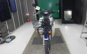 HONDA C110 SUPER CUB 2011 JA61