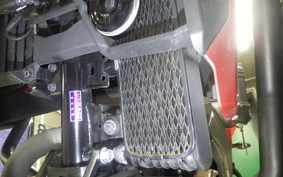 SUZUKI Vｽﾄﾛｰﾑ250SX 2019 EL11L