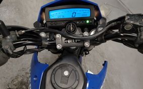 KAWASAKI D-TRACKERX LX250V