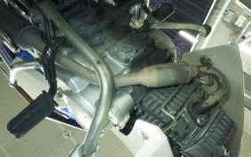 HONDA C110 SUPER CUB