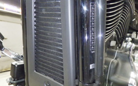 HARLEY FLSB 1750 2025
