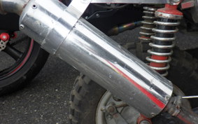 OTHER +UNREGISTERED MODEL by BDS125