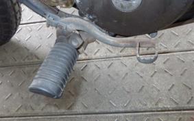 HONDA ELSINORE 250 2022 MT250