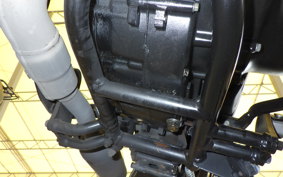 KAWASAKI W175