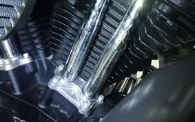 HARLEY XL883N 2017