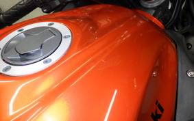 KAWASAKI Z250 2022 ER250C
