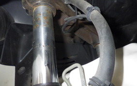 YAMAHA MAJESTY 250 C SG03J