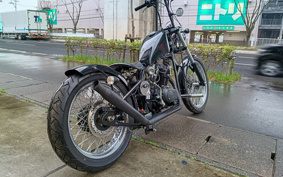 YAMAHA HE IST250 PCAN
