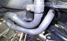 YAMAHA VIRAGO 250 2025 3DM