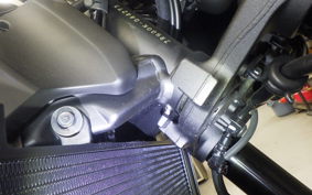 KAWASAKI Z900RS CAFE 2025 ZR900K