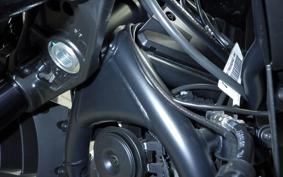 HARLEY PAN AMERICA 1250 2025