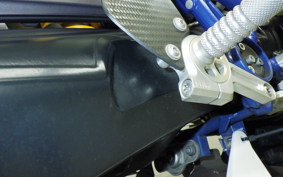 BMW HP2 SPORT 2009