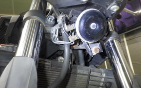 YAMAHA YZF R-3 2015 RH07J