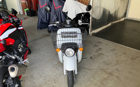 HONDA BENLY 110 JA09