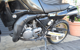 YAMAHA TDR250 2YK