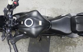 SUZUKI ｼﾞｸｻｰ250 2022 ED22Y