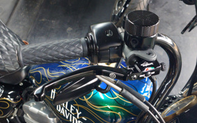 HARLEY XL883L 2010 CR2