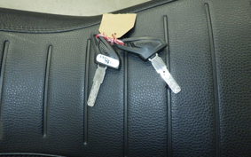 DUCATI SCRAMBLER 2019