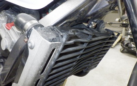 HONDA HORNET 250 1996 MC31