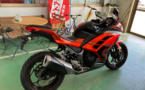 KAWASAKI NINJA 250 EX250L