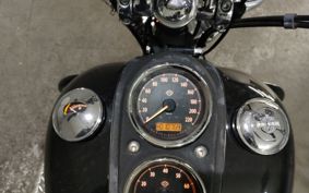 HARLEY FXDL1580 2015 GN4